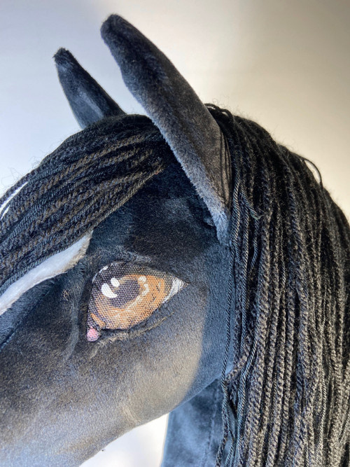 Velšský pony typu Cob - na přání — foto 3