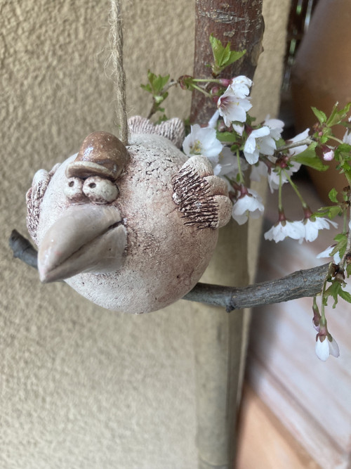Jarní pták v klobouku — foto 3