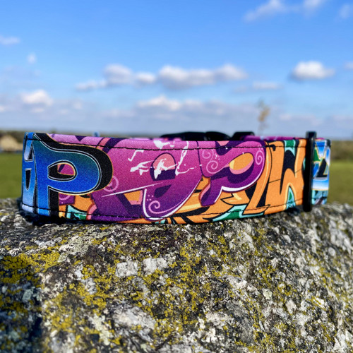 VÝPRODEJ Obojek graffiti 3 cm 30 - 40 cm — foto 3