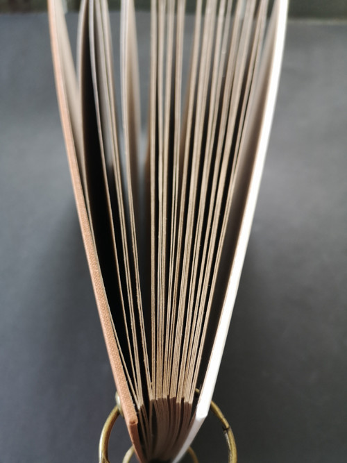 Fotoalbum — foto 2