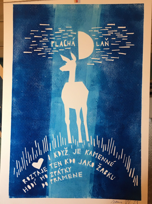 Plachá D laň — foto 4