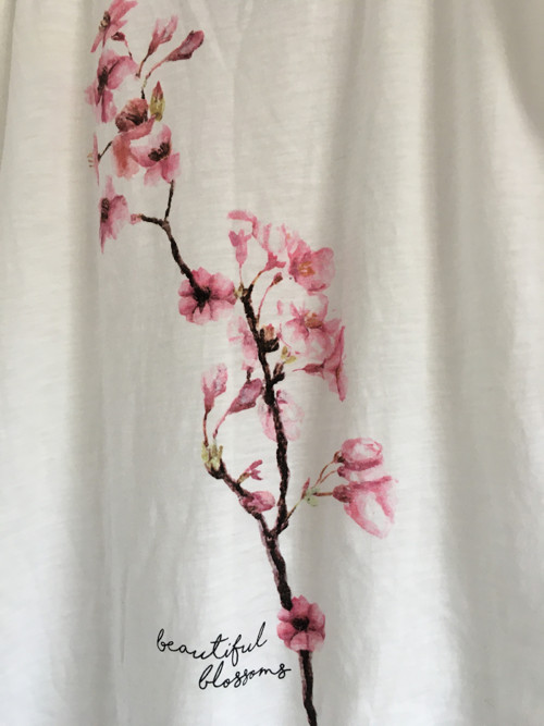 Sakura právě kvete — foto 5