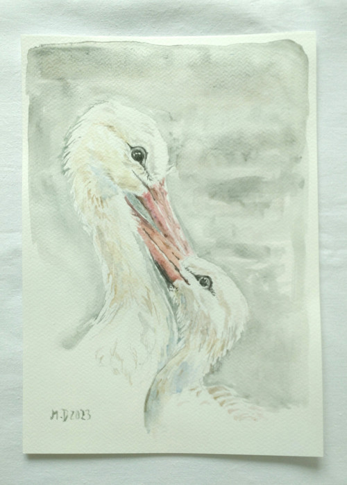 Láska dvou čápů — foto 2