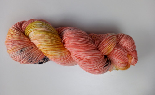Meruňkový sorbet — foto 2