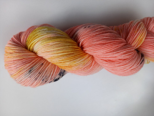 Meruňkový sorbet — foto 5