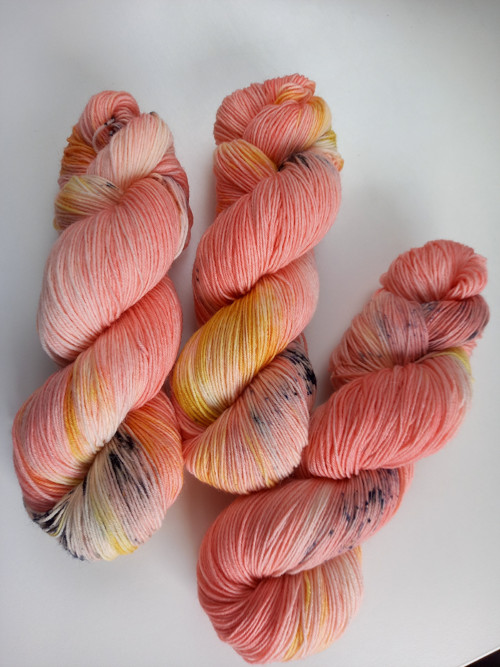 Meruňkový sorbet — foto 4