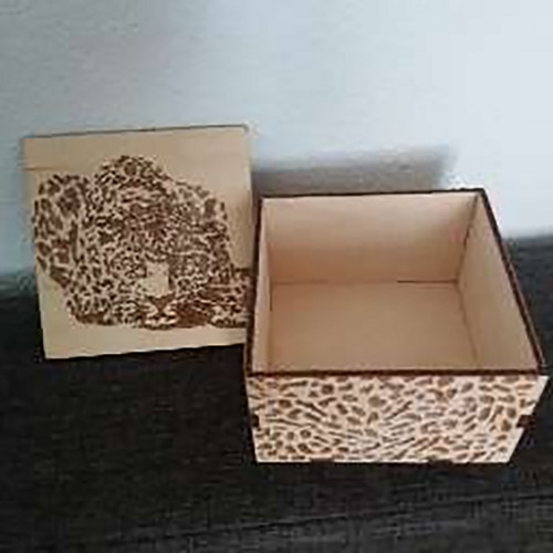 Krabička s leopardem — foto 5