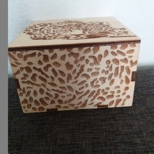Krabička s leopardem — foto 3