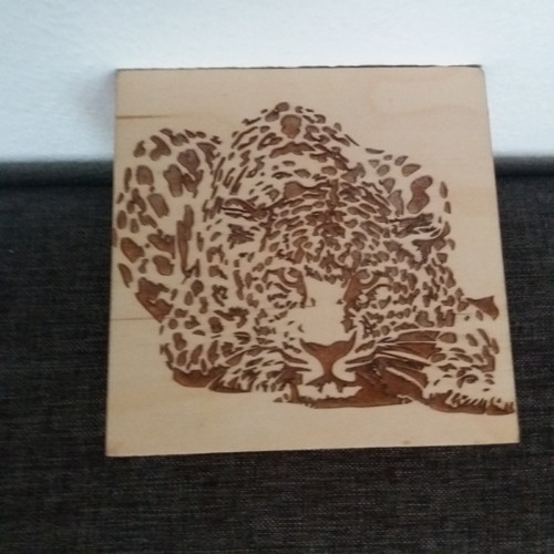 Krabička s leopardem — foto 2