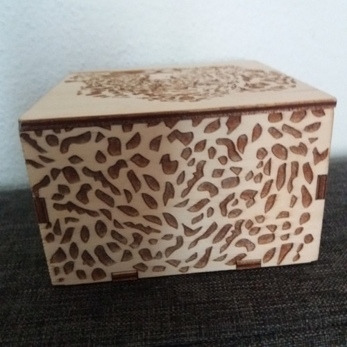 Krabička s leopardem — foto 4