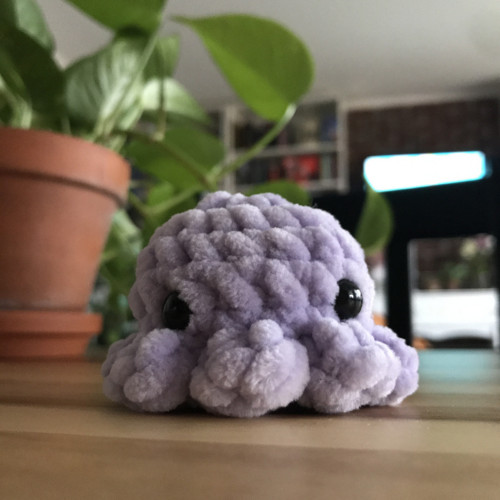 Háčkovaná malá chobotnička — foto 3