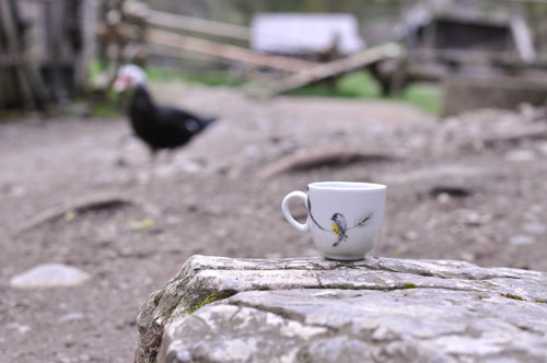Espresso 50ml, Borvice a ptáček — foto 3