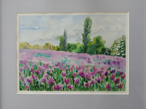 Letní krajina — foto 3