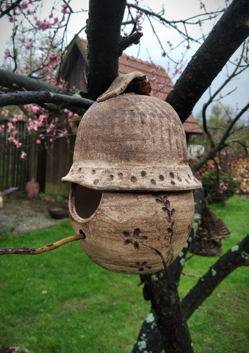 Budka ptačí — foto 2
