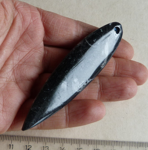 Orthoceras - 8,9 cm — foto 3