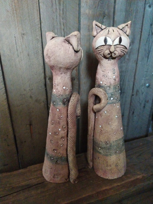 Kočka vysoká — foto 2