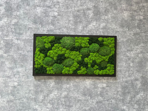 Mechový obraz 60x30cm — foto 2