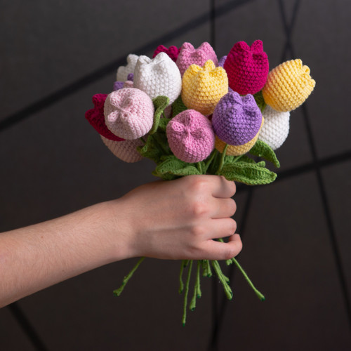 Červený tulipán — foto 3