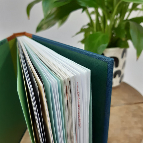 Notes V hlubinách lesa — foto 4