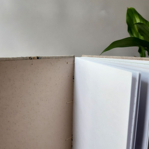 Notes Liška půlnoční — foto 5