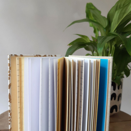 Notes Liška půlnoční — foto 6