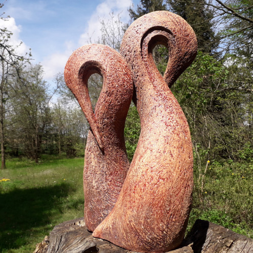 Pelikáni — foto 2