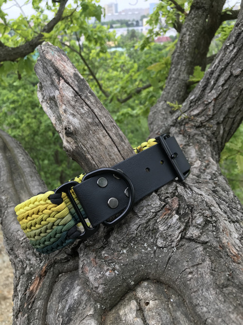 Široký paracord obojek — foto 3