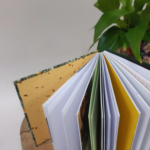 Notes Džunglí — foto 5