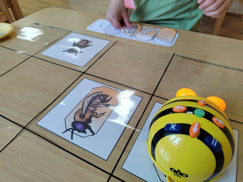Poznáváme včely s Bee-bot (PDF) — foto 4