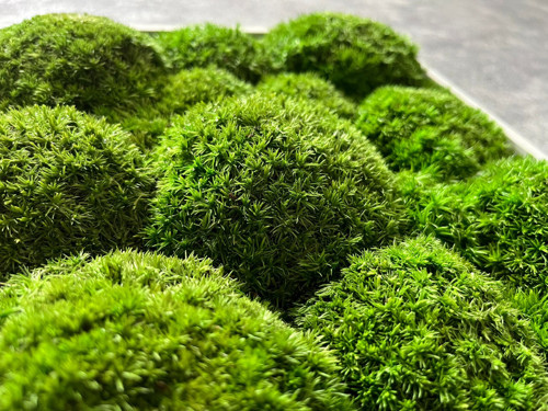 Mechový obraz 25x25cm — foto 5