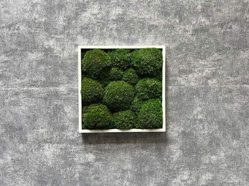 Mechový obraz 25x25cm — foto 2