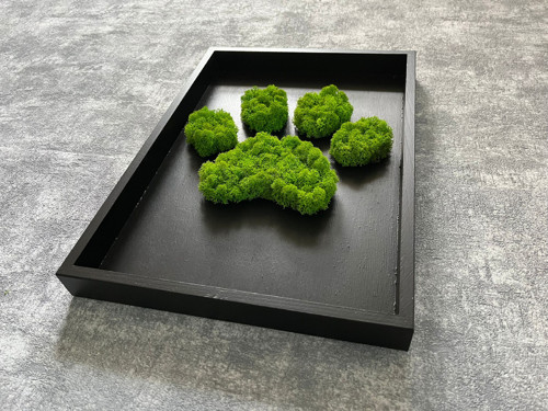 Mechový Obraz 35X25Cm – Tlapka — foto 3