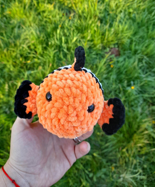 Rybka Nemo — foto 3