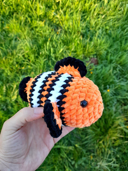 Rybka Nemo — foto 4
