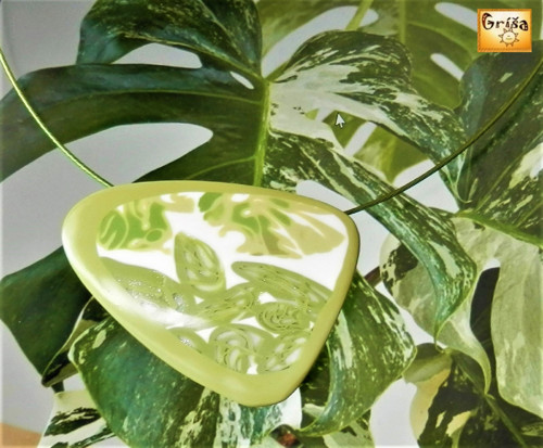 Monstera — foto 3