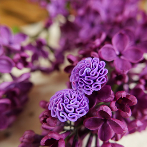 Náušnice purpurové — foto 3