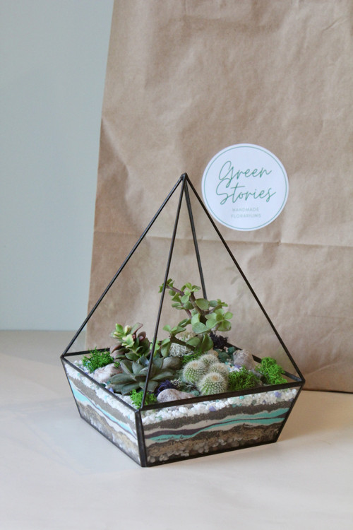 DIY sada + terárium "Pyramid" — foto 2
