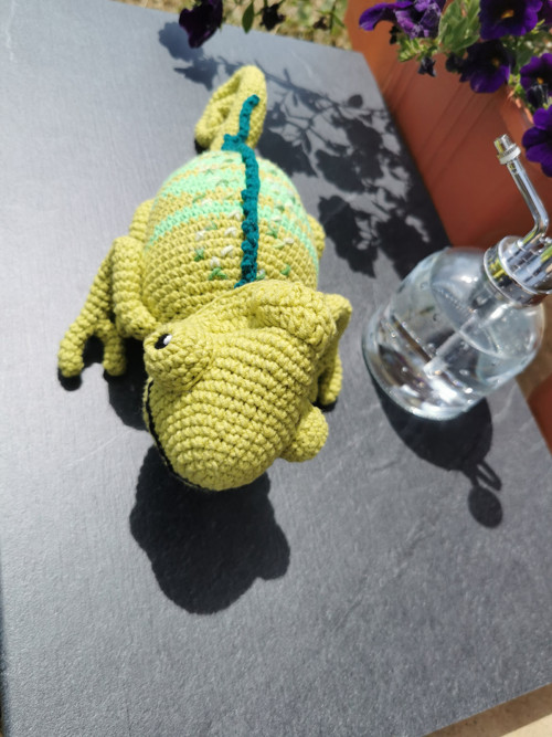Háčkovaný chameleon — foto 2
