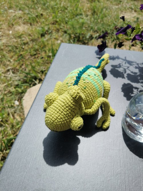 Háčkovaný chameleon — foto 3