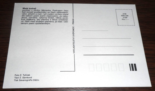 Čistá POHLEDNICE • Malý knírač — foto 2