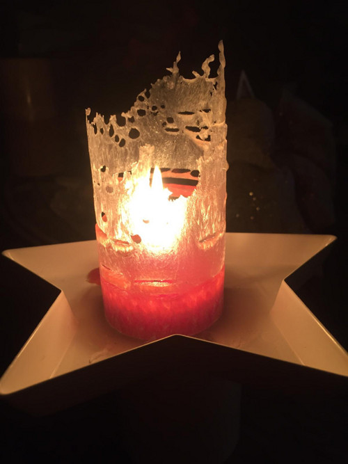 Poděkování — foto 4