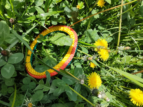 Hračka pro psy — foto 2