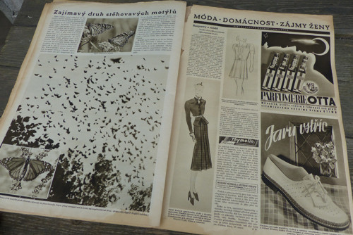 Pestrý týden...časopis 10/1938 — foto 2