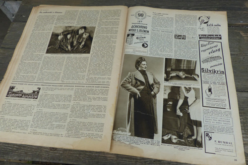 Pestrý týden...časopis 10/1938 — foto 5