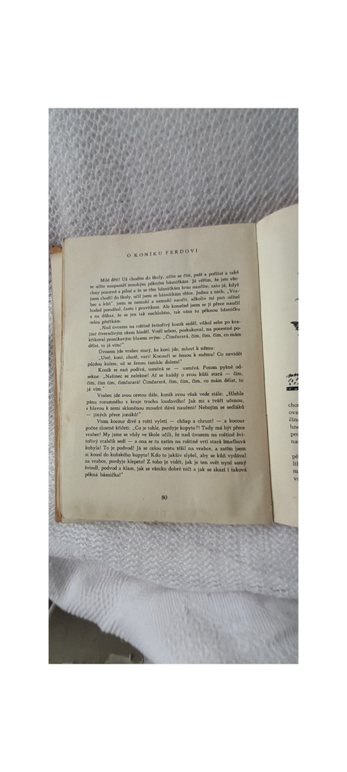 Bubáci a hastrmani - Josef Lada — foto 5
