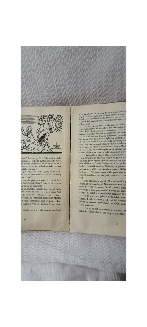 Bubáci a hastrmani - Josef Lada — foto 6