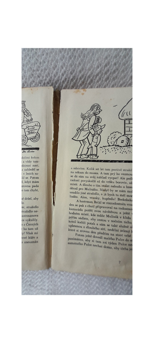 Bubáci a hastrmani - Josef Lada — foto 2