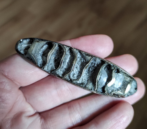 Pyritový Amonit, ID 2964, 70x19 mm — foto 3