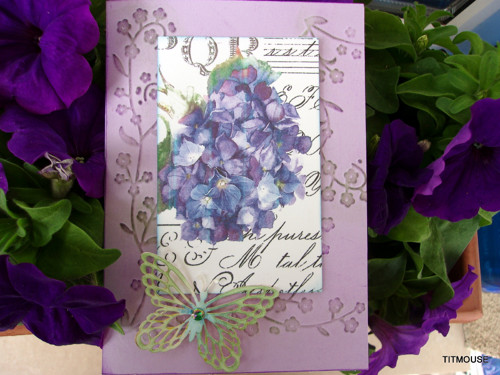 Hydrangea II — foto 2
