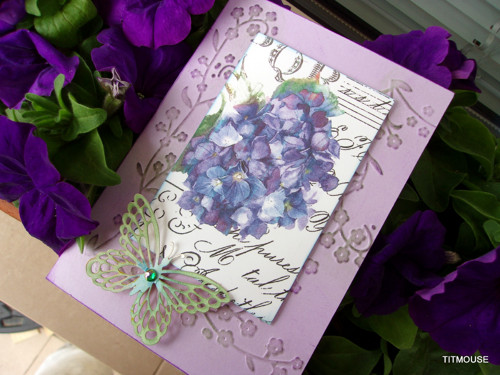 Hydrangea II — foto 4